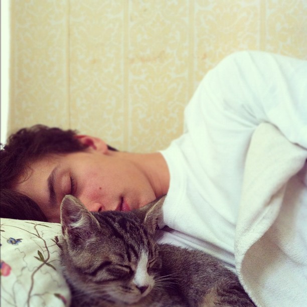 Asparagus, Snow Pea and Green Bean Three-Way