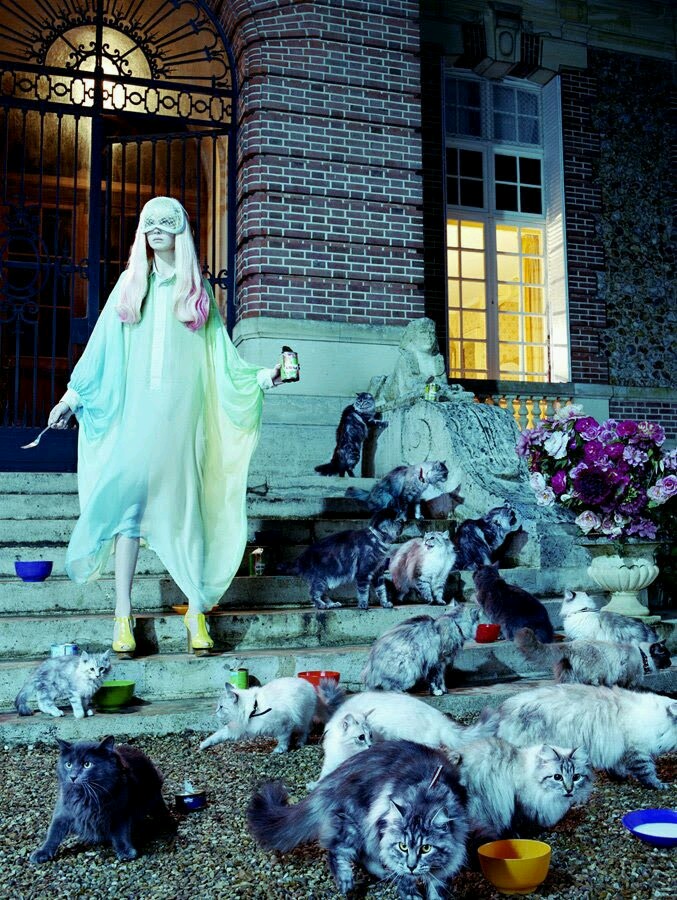 Decadent Vegan Choc Avo Creme