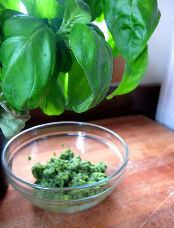 KR Basic Basil Pesto Fresh